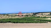 Parcel 7.500sqm for sale-Kallikrateia » Lakkoma