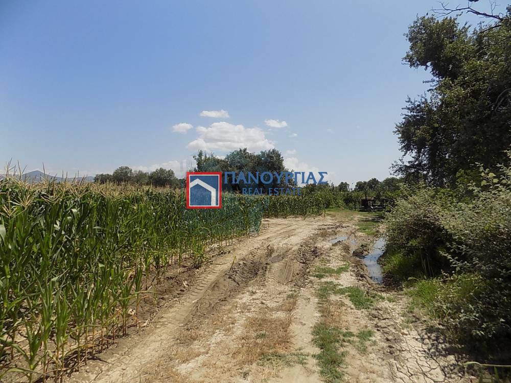Αγροτεμάχια 13.312 τ.μ. προς πώληση, Φθιώτιδας, Λαμία