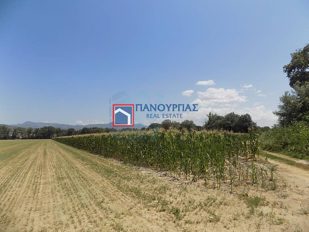 Αγροτεμάχια 13.312 τ.μ. προς πώληση, Φθιώτιδας, Λαμία
