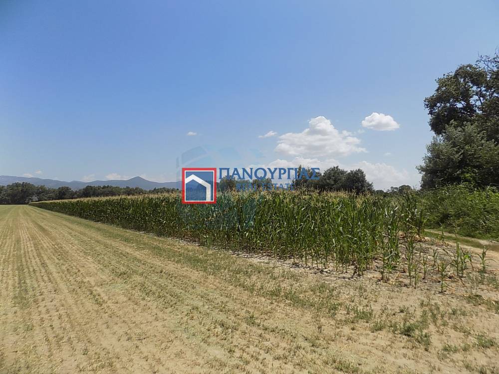 Αγροτεμάχια 13.312 τ.μ. προς πώληση, Φθιώτιδας, Λαμία