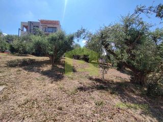 Οικόπεδο 475 τ.μ. για πώληση, Αχαΐα, Πάτρα-thumb-16