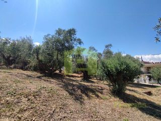 Οικόπεδο 475 τ.μ. για πώληση, Αχαΐα, Πάτρα-thumb-13