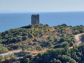 Αγροτεμάχια 10.000 τ.μ. για πώληση, Ν. Καβάλας, Ελευθερές-thumb-2