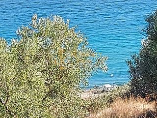Αγροτεμάχια 10.000 τ.μ. για πώληση, Ν. Καβάλας, Ελευθερές-thumb-4