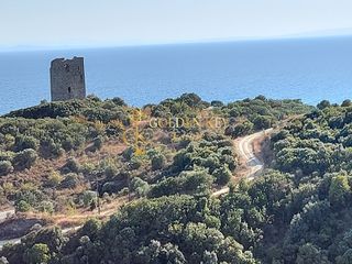 Αγροτεμάχια 10.000 τ.μ. για πώληση, Ν. Καβάλας, Ελευθερές-thumb-1