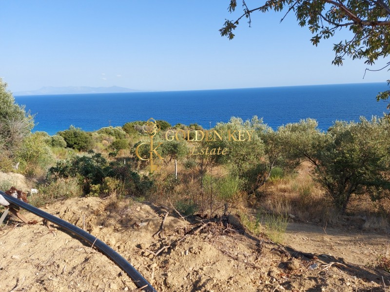 Αγροτεμάχια 10.000 τ.μ. για πώληση, Ν. Καβάλας, Ελευθερές