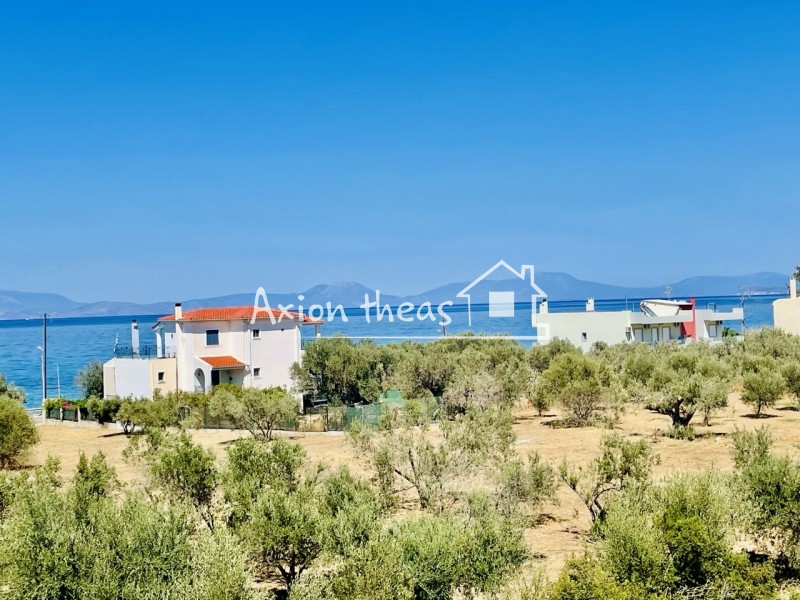 Συγκρότημα διαμερισμάτων 738 τ.μ. πρός πώληση, Κορινθία, Ξυλόκαστρο