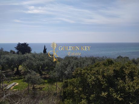 Parcel 4.000sqm for sale-Eleitheres » Paralia Elaiochoriou