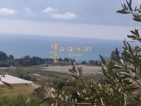 Αγροτεμάχια 4.312 τ.μ. για πώληση