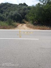 Αγροτεμάχια 1.225 τ.μ. για πώληση, Ν. Καβάλας, Ελευθερές-thumb-3