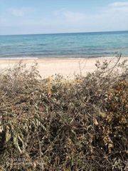 Αγροτεμάχια 1.225 τ.μ. για πώληση, Ν. Καβάλας, Ελευθερές-thumb-4
