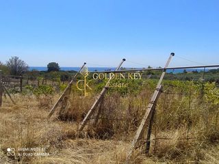 Αγροτεμάχια 1.820 τ.μ. για πώληση, Ν. Καβάλας, Ελευθερές-thumb-3