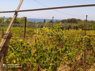 Αγροτεμάχια 1.820 τ.μ. για πώληση, Ν. Καβάλας, Ελευθερές-thumb-1