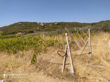 Αγροτεμάχια 1.820 τ.μ. για πώληση