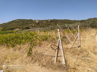 Αγροτεμάχια 1.820 τ.μ. για πώληση