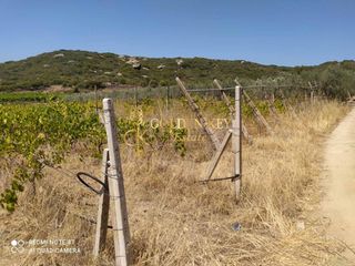Αγροτεμάχια 1.820 τ.μ. για πώληση, Ν. Καβάλας, Ελευθερές-thumb-4