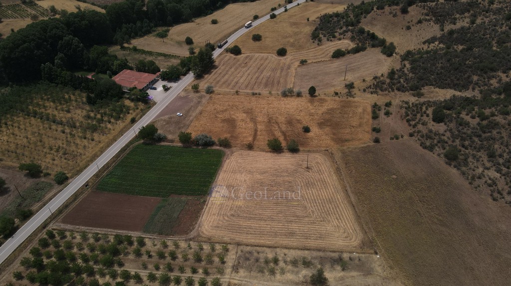 Αγροτεμάχια 10.020 τ.μ. πρός πώληση, Αργολίδα, Επίδαυρος