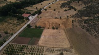 Αγροτεμάχια 10.020 τ.μ. πρός πώληση, Αργολίδα, Επίδαυρος-thumb-2