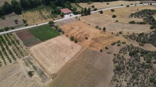 Αγροτεμάχια 10.020 τ.μ. πρός πώληση, Αργολίδα, Επίδαυρος-thumb-19