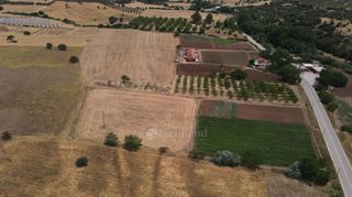 Αγροτεμάχια 10.020 τ.μ. πρός πώληση, Αργολίδα, Επίδαυρος-thumb-6