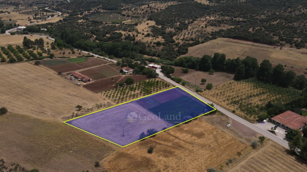 Αγροτεμάχια 10.020 τ.μ. πρός πώληση, Αργολίδα, Επίδαυρος