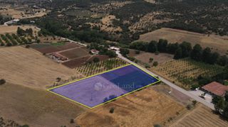 Αγροτεμάχια 10.020 τ.μ. πρός πώληση, Αργολίδα, Επίδαυρος-thumb-1