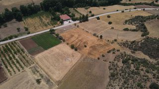 Αγροτεμάχια 10.020 τ.μ. πρός πώληση, Αργολίδα, Επίδαυρος-thumb-22