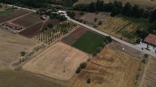 Αγροτεμάχια 10.020 τ.μ. πρός πώληση, Αργολίδα, Επίδαυρος-thumb-16