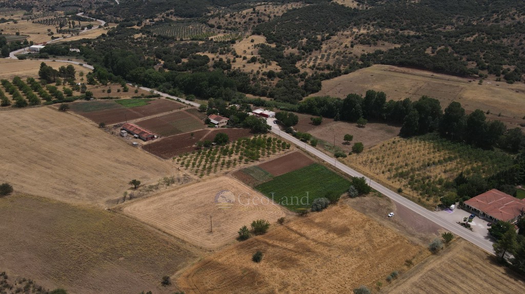 Αγροτεμάχια 10.020 τ.μ. πρός πώληση, Αργολίδα, Επίδαυρος