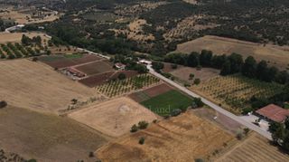 Αγροτεμάχια 10.020 τ.μ. πρός πώληση, Αργολίδα, Επίδαυρος-thumb-4