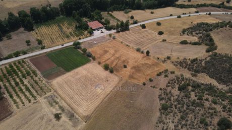 Αγροτεμάχια 10.020τ.μ. για πώληση-Επίδαυρος » Τραχειά