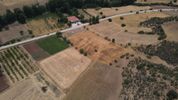Αγροτεμάχια 10.020τ.μ. για πώληση-Επίδαυρος » Τραχειά