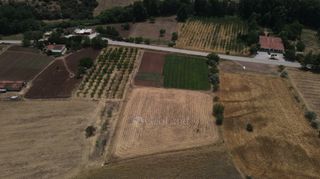 Αγροτεμάχια 10.020 τ.μ. πρός πώληση, Αργολίδα, Επίδαυρος-thumb-18