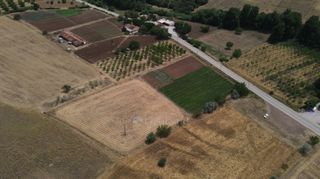 Αγροτεμάχια 10.020 τ.μ. πρός πώληση, Αργολίδα, Επίδαυρος-thumb-17