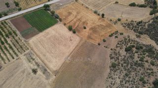 Αγροτεμάχια 10.020 τ.μ. πρός πώληση, Αργολίδα, Επίδαυρος-thumb-21