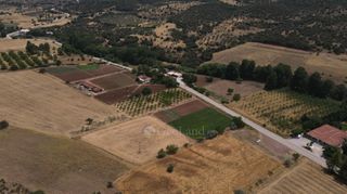 Αγροτεμάχια 10.020 τ.μ. πρός πώληση, Αργολίδα, Επίδαυρος-thumb-13