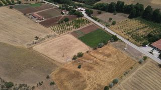 Αγροτεμάχια 10.020 τ.μ. πρός πώληση, Αργολίδα, Επίδαυρος-thumb-14
