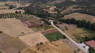 Αγροτεμάχια 10.020 τ.μ. πρός πώληση, Αργολίδα, Επίδαυρος-thumb-12