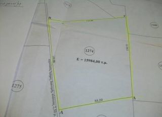 Αγροτεμάχια 16.000 τ.μ. για πώληση