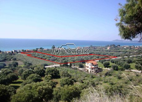 Αγροτεμάχια 14.000τ.μ. για πώληση-Παλλήνη » Ανθούσα