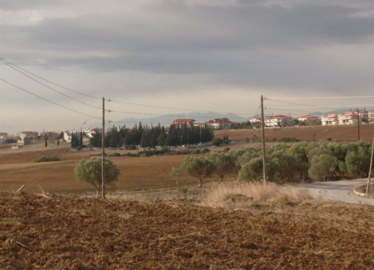 Αγροτεμάχια 4.150 τ.μ. προς πώληση, Κάτω Σχολάρι