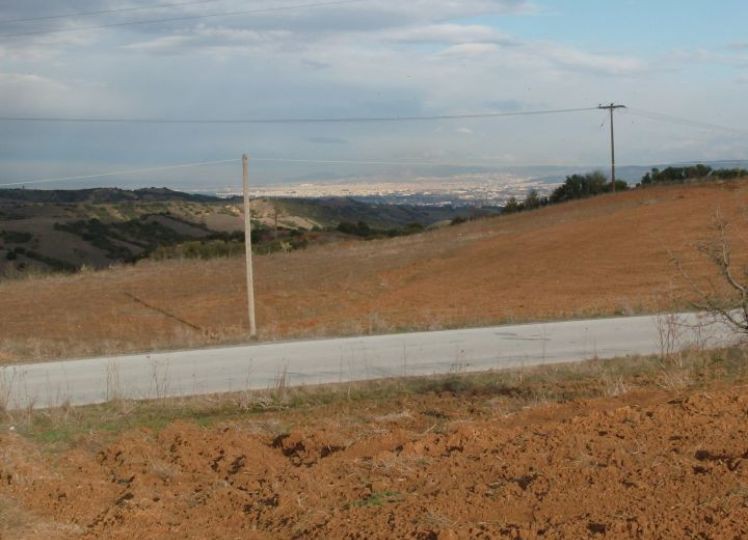 Αγροτεμάχια 4.150 τ.μ. προς πώληση, Κάτω Σχολάρι