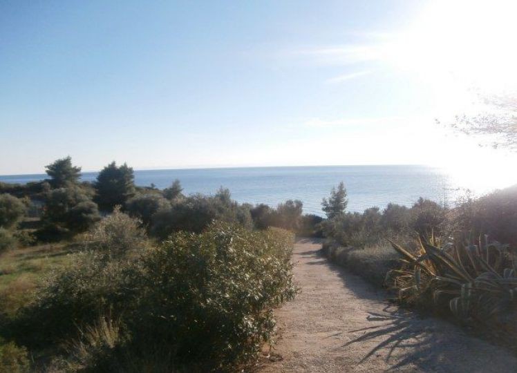 Αγροτεμάχια 13.240 τ.μ. προς πώληση, Βατοπέδι