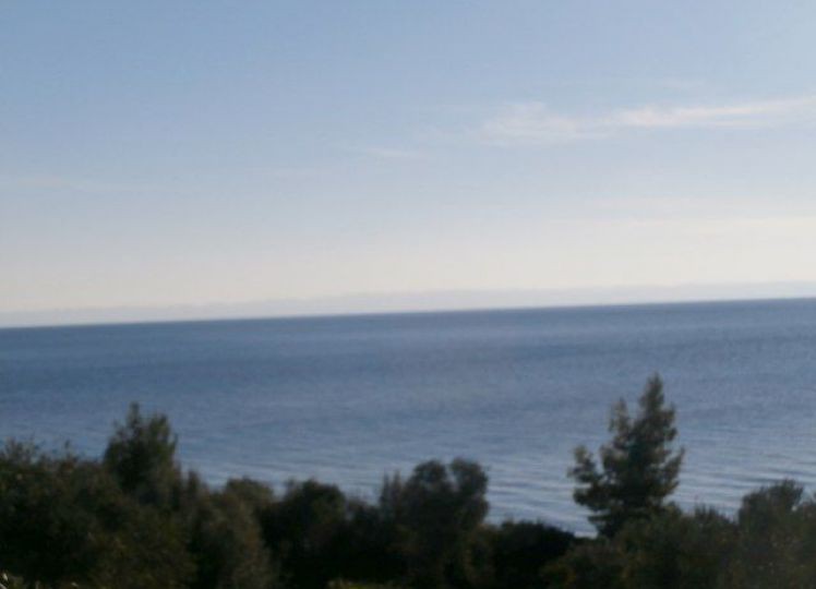 Αγροτεμάχια 13.240 τ.μ. προς πώληση, Βατοπέδι