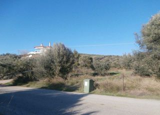 Αγροτεμάχια 13.240 τ.μ. για πώληση, Χαλκιδική, Ορμύλια-thumb-7