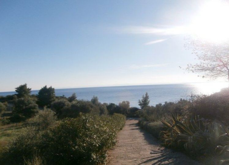 Αγροτεμάχια 13.240 τ.μ. προς πώληση, Βατοπέδι