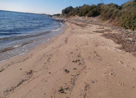 Αγροτεμάχια 13.240 τ.μ. για πώληση