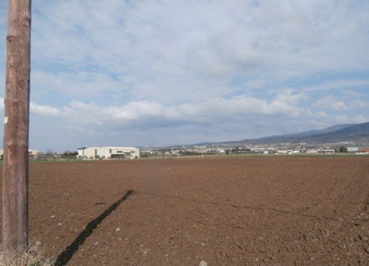 Αγροτεμάχια 4.513 τ.μ. προς πώληση, Νέα Ραιδεστός