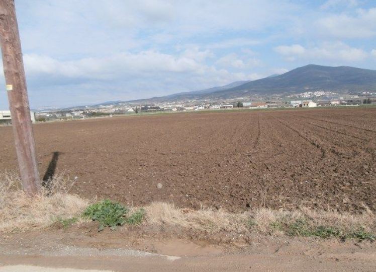 Αγροτεμάχια 4.513 τ.μ. προς πώληση, Νέα Ραιδεστός