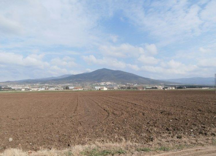 Αγροτεμάχια 4.513 τ.μ. προς πώληση, Νέα Ραιδεστός
